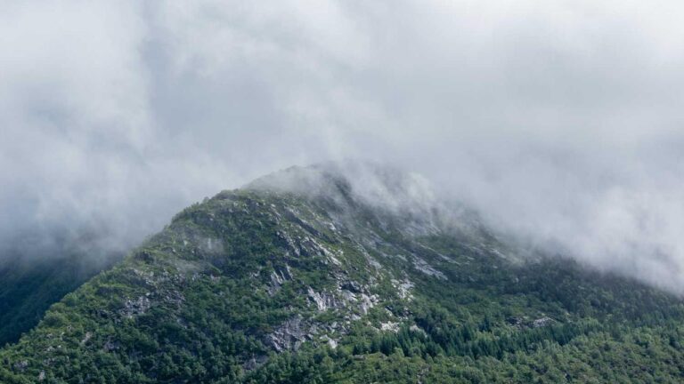 How Does The 99Exch Jackpot Game Payout Work?